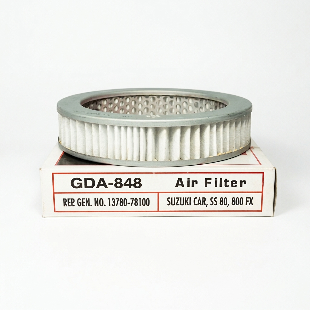 Air Filter Mehran/FX (Guard)